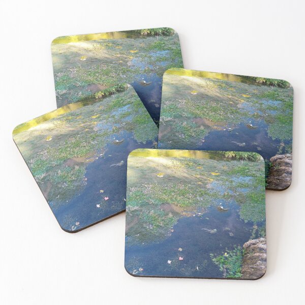 Item preview, Beautiful Mossy pond designed and sold by WildNature129.