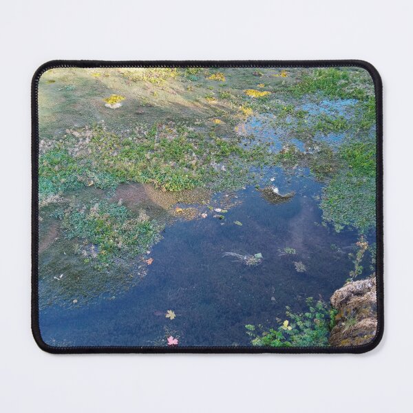 Item preview, Beautiful Mossy pond designed and sold by WildNature129.