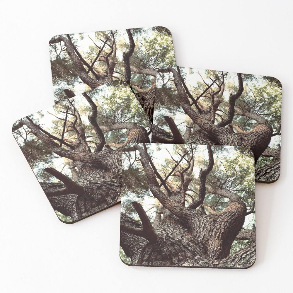 Item preview, Coasters (Set of 4) designed and sold by KellOneill.