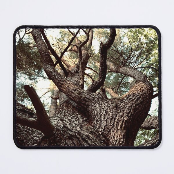 Item preview, Tree designed and sold by Kelly O'Neill.