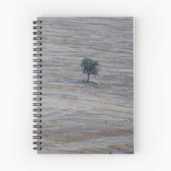 Item preview, Tree in Val D Orcia designed and sold by pietrofoto.
