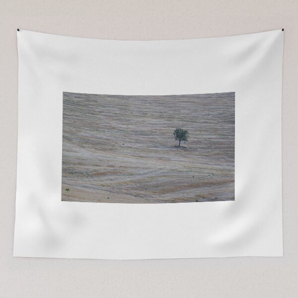 Item preview, Tree in Val D Orcia designed and sold by pietrofoto.