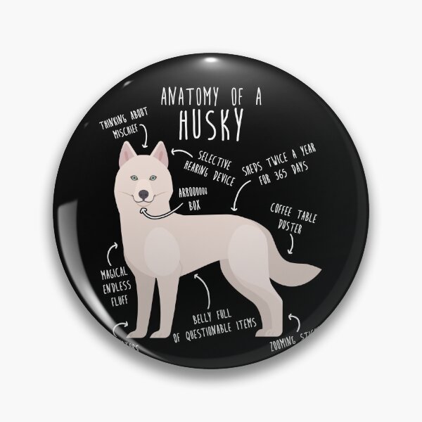 Item preview, White Siberian Husky Dog Anatomy designed and sold by Clara Hollins.