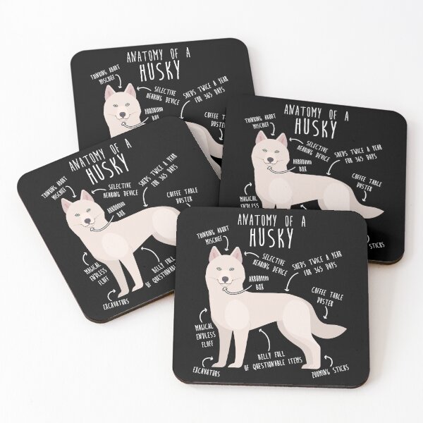Item preview, White Siberian Husky Dog Anatomy designed and sold by Clara Hollins.