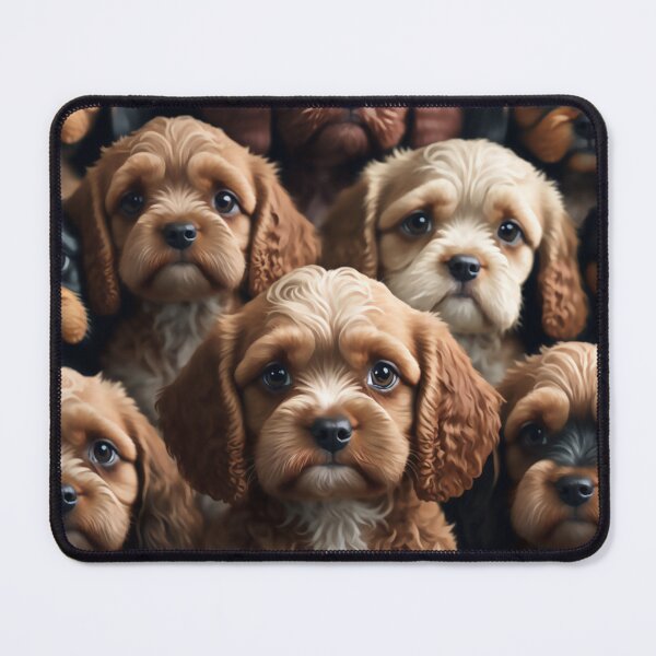 Item preview, Beautiful Collage of Cavoodles, so many adorable faces, dogs are the best! designed and sold by Orianah.