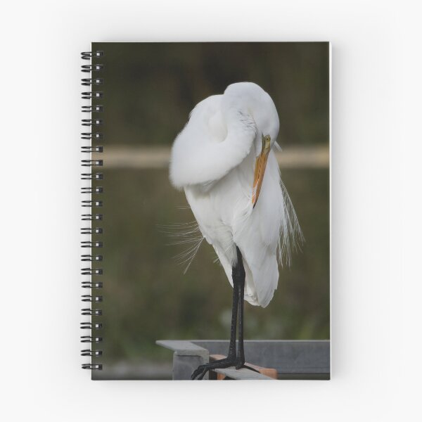 Item preview, Preening designed and sold by cymcgraw.
