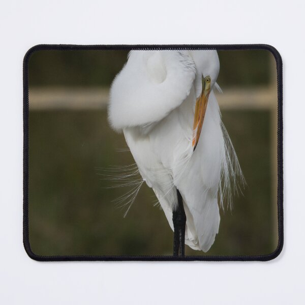 Item preview, Preening designed and sold by cymcgraw.