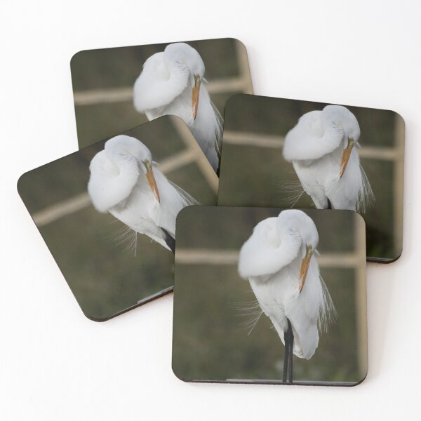 Item preview, Preening designed and sold by cymcgraw.