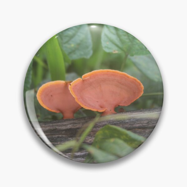 Item preview, Orange fungus designed and sold by Elsie Lynn Starkey.