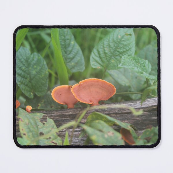 Item preview, Orange fungus designed and sold by Elsie Lynn Starkey.