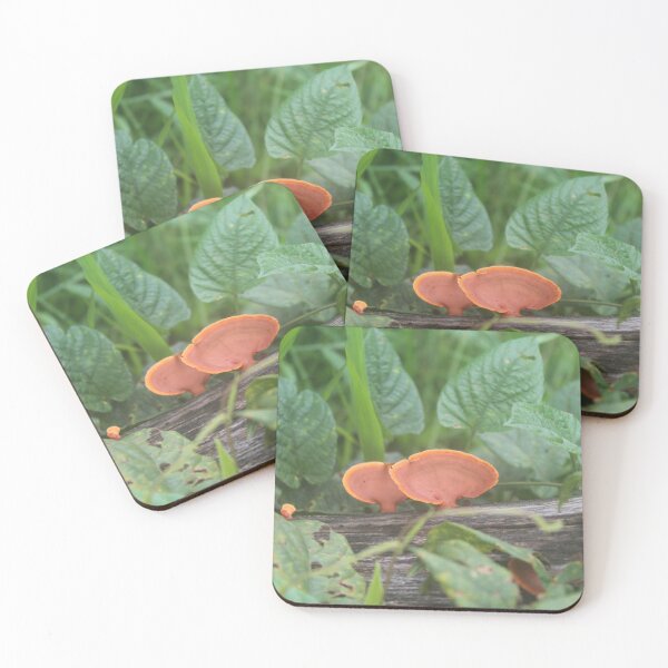 Item preview, Orange fungus designed and sold by Elsie Lynn Starkey.