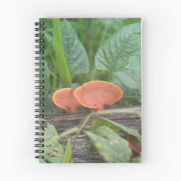 Item preview, Orange fungus designed and sold by Elsie Lynn Starkey.