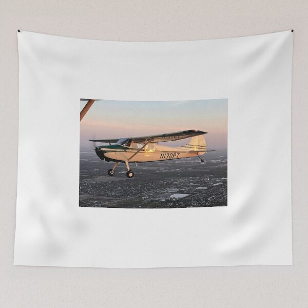 Item preview, Cessna 170 designed and sold by Sonex1517.
