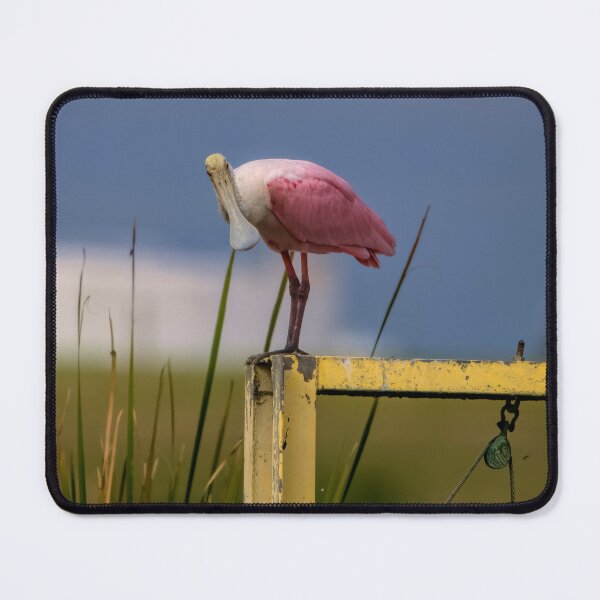 Item preview, Pretty in Pink designed and sold by cymcgraw.