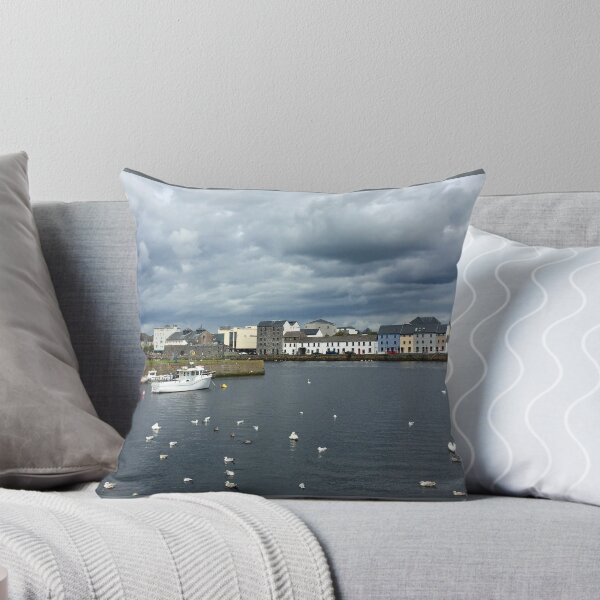 Artikelvorschau, Wasservögel in Galway Bay entworfen und verkauft von Epic Splash Creations.