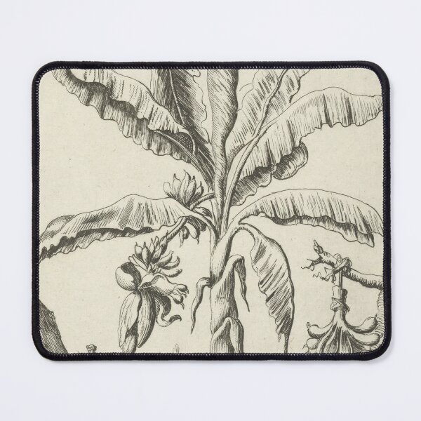 Item preview, Banana Tree Vintage Botanical Print, 1683 designed and sold by Vintage Wall Art.