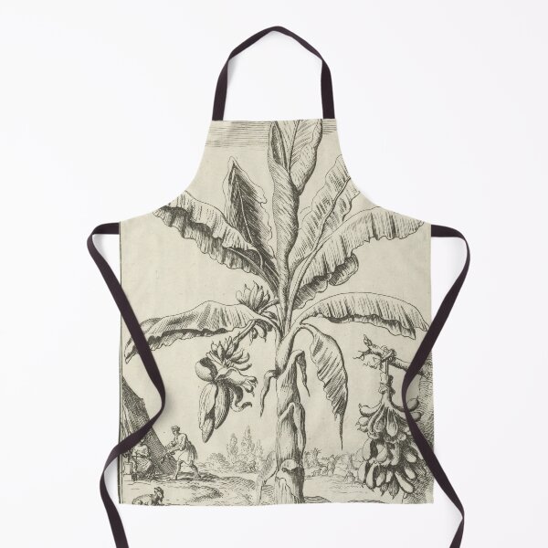 Item preview, Banana Tree Vintage Botanical Print, 1683 designed and sold by Vintage Wall Art.