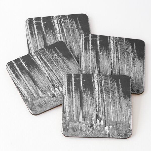 Item preview, Stark image of trees designed and sold by Sonex1517.