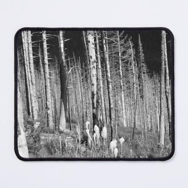 Item preview, Stark image of trees designed and sold by Sonex1517.