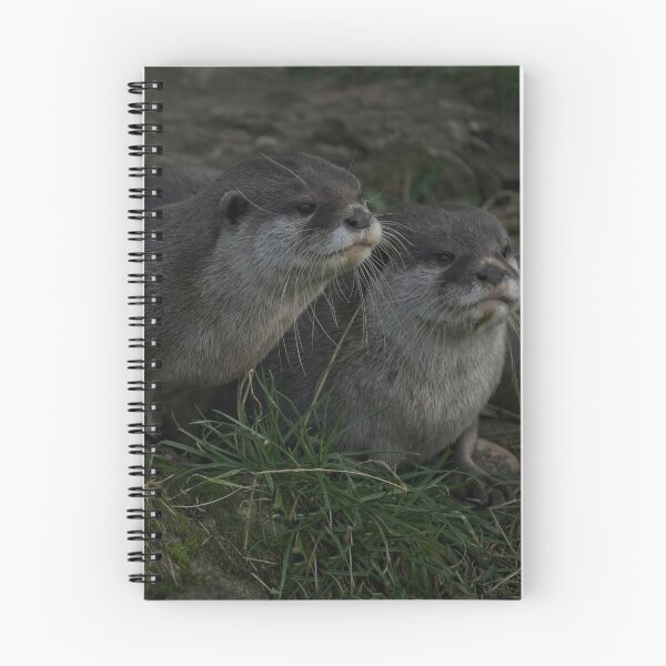 Item preview, Otter Pair designed and sold by rawshutterbug.