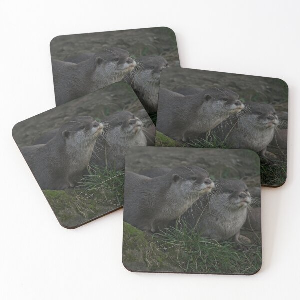 Item preview, Otter Pair designed and sold by rawshutterbug.