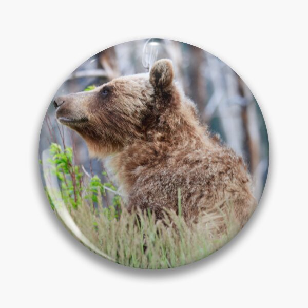 Item preview, Grizzly bear at Glacier designed and sold by Sonex1517.