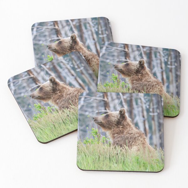Item preview, Grizzly bear at Glacier designed and sold by Sonex1517.