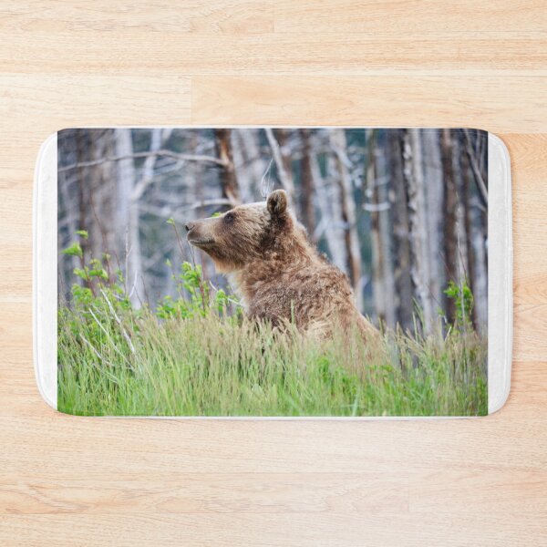 Item preview, Grizzly bear at Glacier designed and sold by Sonex1517.