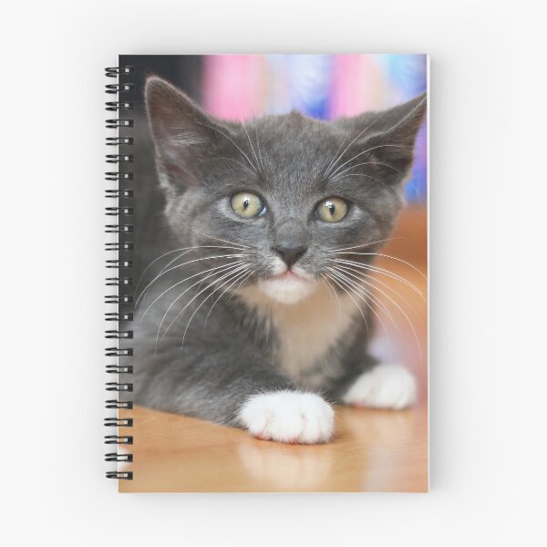 Item preview, Cautious kitten designed and sold by GreyFeatherPhot.