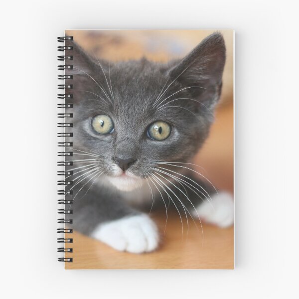Item preview, Stalking designed and sold by GreyFeatherPhot.