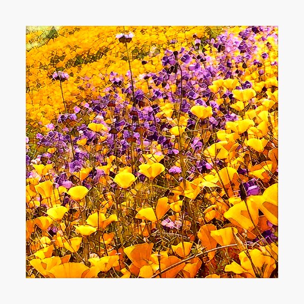Item preview, Digital Sol Wildflower Meadow designed and sold by olusion.