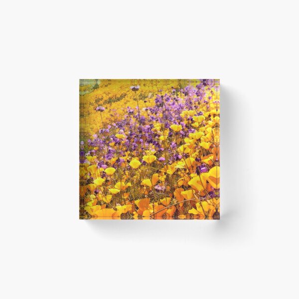 Item preview, Digital Sol Wildflower Meadow designed and sold by olusion.