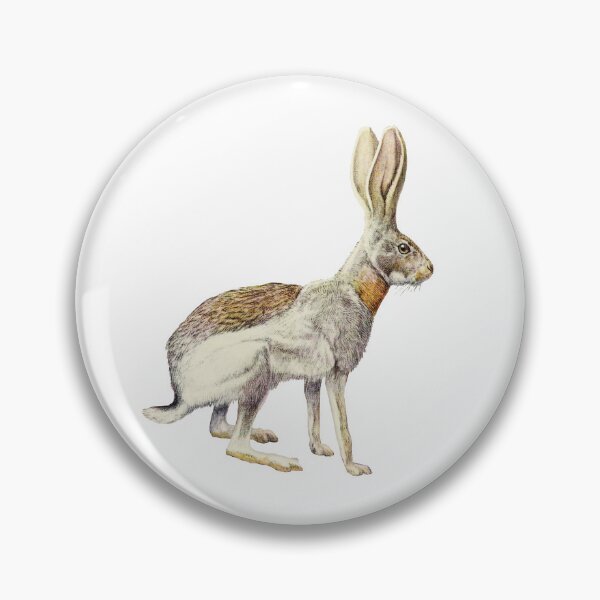 Item preview, Antelope Jackrabbit Portrait designed and sold by Futurebeachbum.