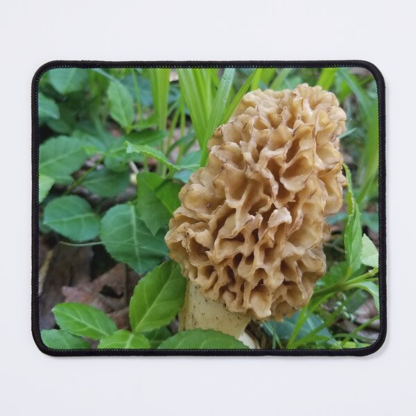 Item preview, Secret Morel designed and sold by ArcSpectre.