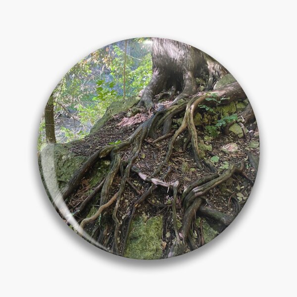 Item preview, Amazing tree roots designed and sold by LWickham.