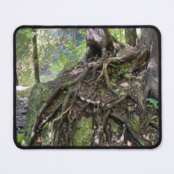Item preview, Amazing tree roots designed and sold by LWickham.