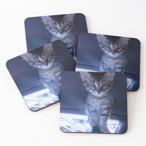 Item preview, CUTE KITTEN designed and sold by s197henry.