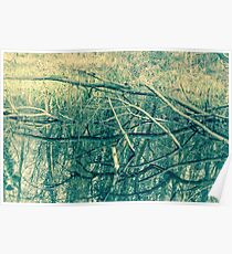 Branches Poster