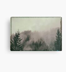 driving through the foggy Canyon of the Pacific NW Metal Print