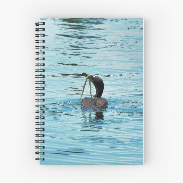 Item preview, Double-crested Cormorant With Seaweed On Its Bill designed and sold by BackyardBirder.