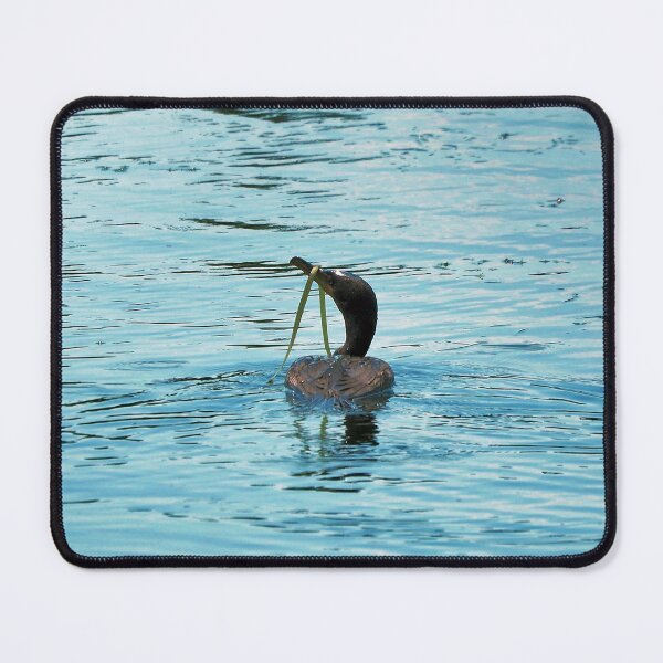 Item preview, Double-crested Cormorant With Seaweed On Its Bill designed and sold by BackyardBirder.