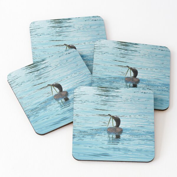 Item preview, Double-crested Cormorant With Seaweed On Its Bill designed and sold by BackyardBirder.