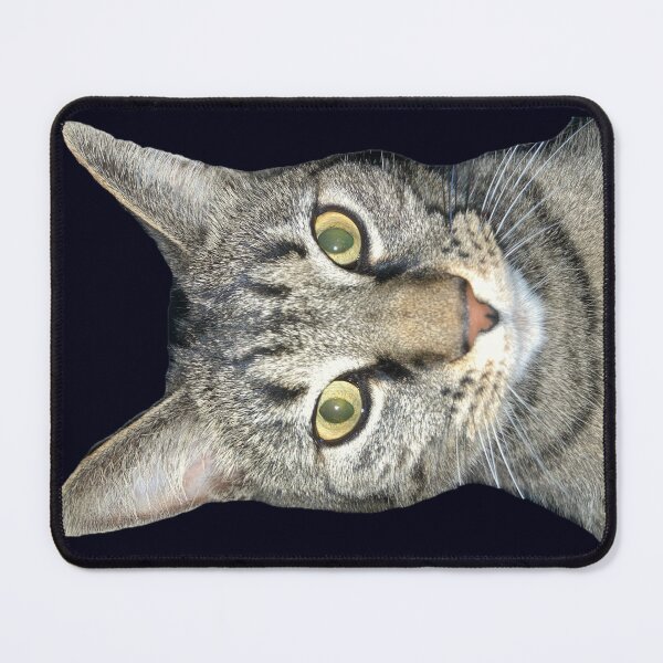 Item preview, Tabby Cat Closeup designed and sold by Amanda1775.