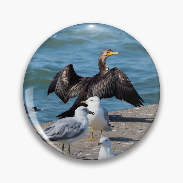 Item preview, Double-crested Cormorant With A Flock Of Gulls designed and sold by BackyardBirder.