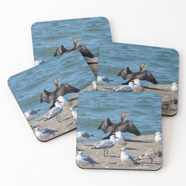 Item preview, Double-crested Cormorant With A Flock Of Gulls designed and sold by BackyardBirder.