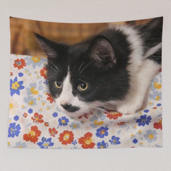 Item preview, Tux designed and sold by Frankie Cat Photography.