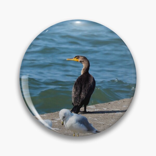 Artikelvorschau, Kormoran mit doppelter Haube und ein Schwarm Möwen entworfen und verkauft von BackyardBirder.