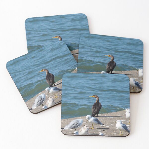 Item preview, Double-crested Cormorant and a Flock Of Gulls designed and sold by BackyardBirder.