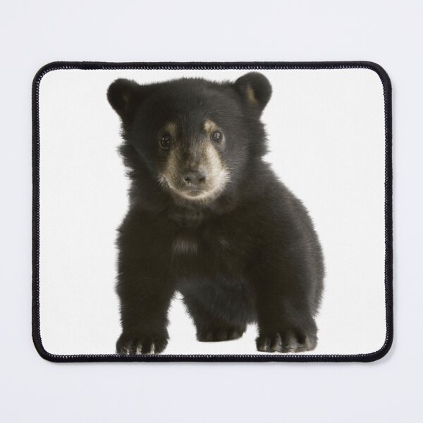 Item preview, World's Cutest Bear Cub designed and sold by Lilieae.