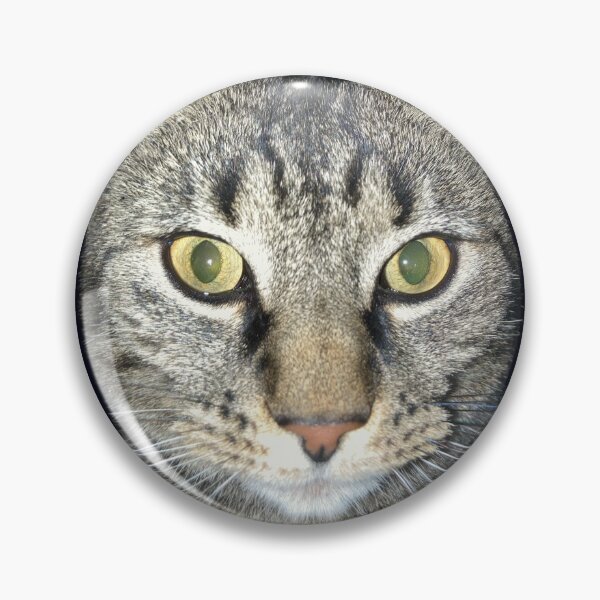 Item preview, Tabby Cat Closeup designed and sold by Amanda1775.